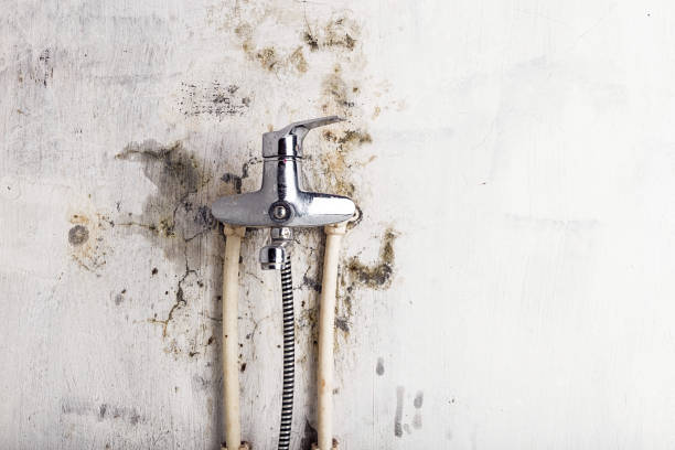 Certified Mold Removal in Simpsonville, KY