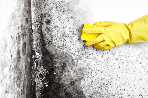Water Damage Restoration in Simpsonville, KY