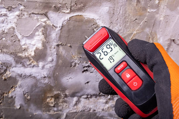 Professional Mold Removal in Simpsonville, KY