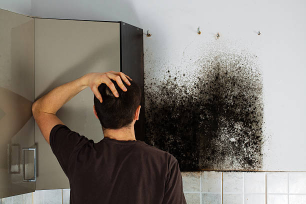 Best Crawl Space Mold Removal  in Simpsonville, KY